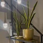 Apartman Panta Rei 97